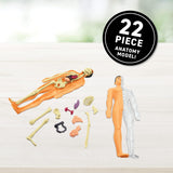 Abacus Brands Virtual Reality Human Body - Illustrated Interactive VR Book and STEM Learning Activity Set - Shoppers-kart.com