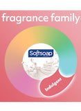 Softsoap Body Wash, Pomegranate & Mango Spritz Body Wash + Coconut Butter Exfoliating Scrub - 4 x 591 ml