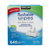 Kirkland Signature Premoistened Flushable Wipes Fragrance Free 640 - Count