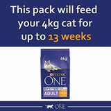 Purina ONE Adult Cat with Chicken & Wholegrains 6 kg